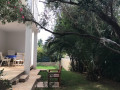 Exterior, Guesthouse - Hotel California, Novalja, Island of Pag, Croatia Novalja